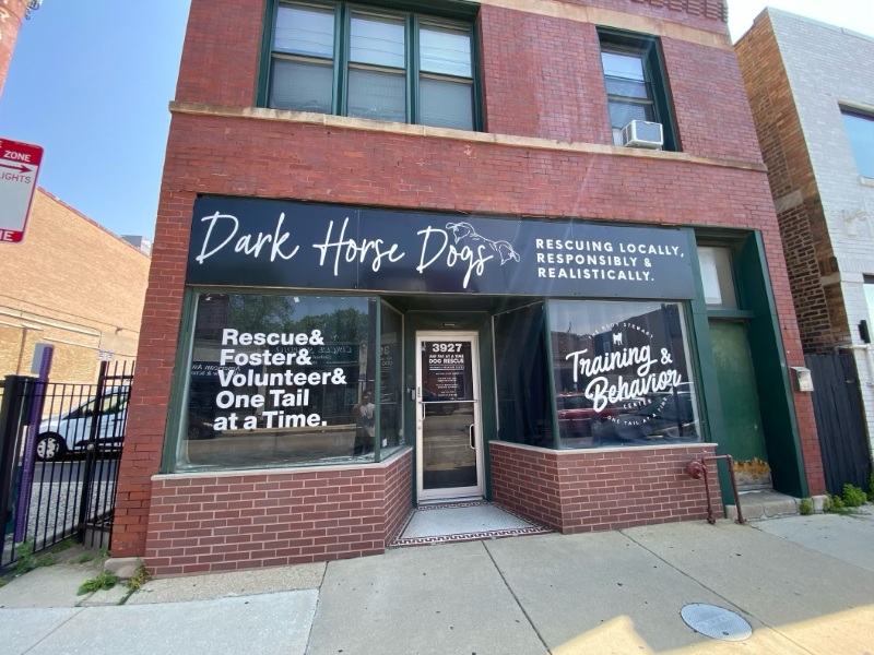 Window & Wall Graphics